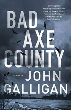 portada Bad axe County, Volume 1 (a bad axe County Novel) (en Inglés)