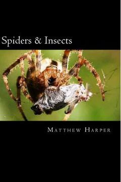 portada Spiders & Insects: Two Fascinating Books Combined Together Containing Facts, Trivia, Images & Memory Recall Quiz: Suitable for Adults & C (en Inglés)