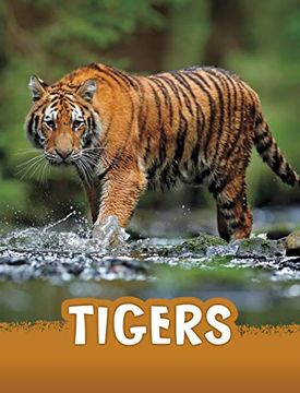 portada Tigers (in English)