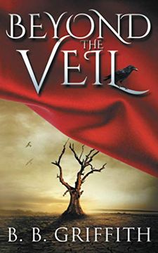 portada Beyond the Veil (Vanished, #2) (in English)