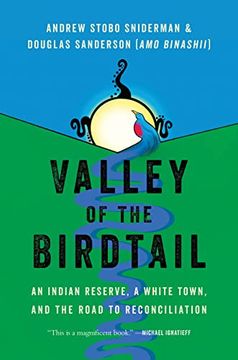 portada Valley of the Birdtail: An Indian Reserve, a White Town, and the Road to Reconciliation (in English)