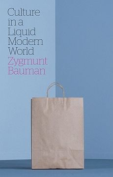 culture in a liquid modern world