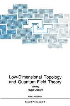 portada Low-Dimensional Topology and Quantum Field Theory (en Inglés)