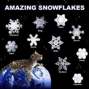 portada Amazing Snowflakes