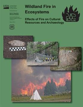 portada Wildand Fire in Ecosystems: Effects of Fire on Cultural Resources and Archaeology (en Inglés)