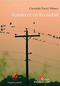 portada Atardecer en la Ciudad (in Spanish)