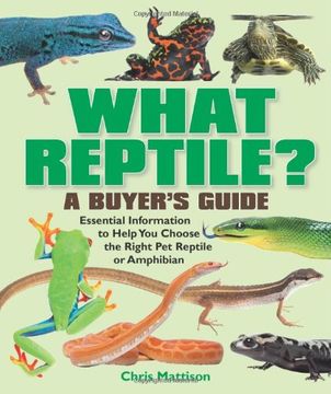 portada What Reptile? A Buyer's Guide: Essential Information to Help You Choose the Right Reptile or Amphibian