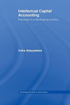 portada Intellectual Capital Accounting: Practices in a Developing Country (en Inglés)