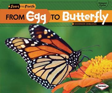 portada from egg to butterfly (en Inglés)