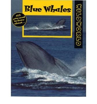 portada Blue Whales