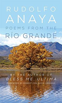 portada Poems from the Río Grande (Chicana and Chicano Visions of the Americas series) (en Inglés)