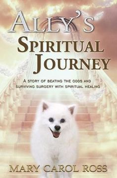 portada Ally's Spiritual Journey: A Story of Beating the Odds and Surviving Surgery with Spiritual Healing