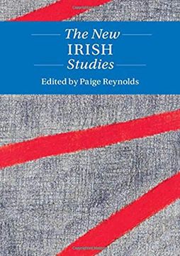 portada The new Irish Studies (Twenty-First-Century Critical Revisions) (en Inglés)