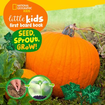 portada Little Kids First Board Book Seed, Sprout, Grow! (en Inglés)