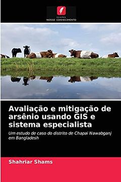 portada Avaliação e Mitigação de Arsênio Usando gis e Sistema Especialista (in Portuguese)