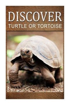 portada Turtle Or Tortoise - Discover: Early reader's wildlife photography book (en Inglés)