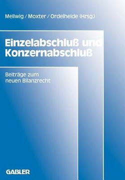 portada Einzelabschluß Und Konzernabschluß: Beiträge Zum Neuen Bilanzrecht, Band 1 (in German)