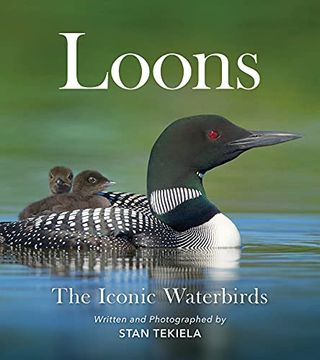 portada Loons: The Iconic Waterbirds (Favorite Wildlife) (en Inglés)
