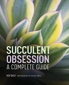 portada Succulent Obsession: A Complete Guide (en Inglés)
