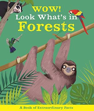 portada Wow! Look What'S in the Forests (in English)