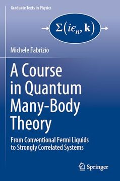 portada A Course in Quantum Many-Body Theory: From Conventional Fermi Liquids to Strongly Correlated Systems (en Inglés)