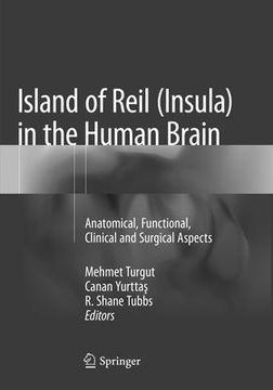 portada Island of Reil (Insula) in the Human Brain: Anatomical, Functional, Clinical and Surgical Aspects