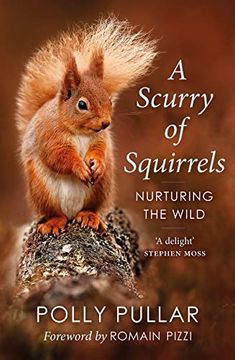 portada A Scurry of Squirrels: Nurturing the Wild (in English)