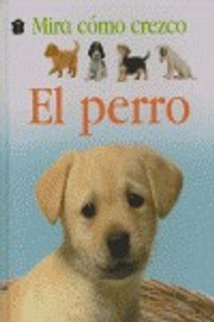portada el perro invisible (in Spanish)