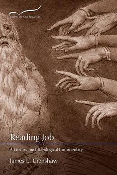 portada reading job: a literary and theological commentary (en Inglés)