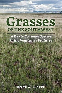 portada Grasses of the Southwest: A key to Common Species Using Vegetative Features (en Inglés)