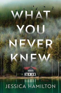 portada What you Never Knew: A Novel (en Inglés)