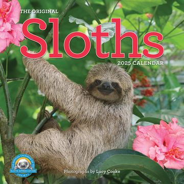 portada Original Sloths Wall Calendar 2025: The Ultimate Experts at Slowing Down (en Inglés)