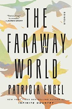 portada The Faraway World: Stories (in English)