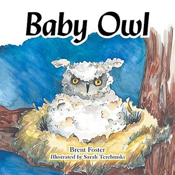 portada Baby owl (en Inglés)