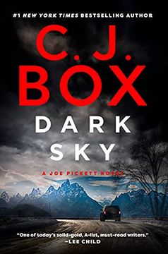portada Dark sky (Joe Pickett Novel) (in English)