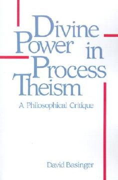 portada divine power in process theism: a philosophical critique (en Inglés)