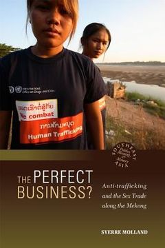 portada the perfect business? (in English)