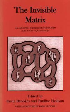 portada invisible matrix: an exploration of professional relationships in the service of psychotherapy (en Inglés)