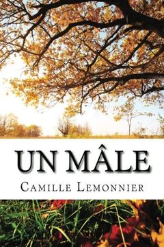 portada Un Male (French Edition)