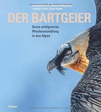 portada Der Bartgeier (en Alemán)