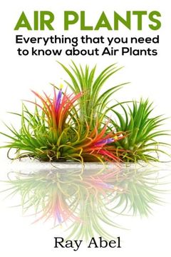 portada Air Plants: All you need to know about Air Plants in a single book!