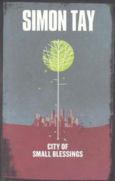 portada City of Small Blessings: A Novel 