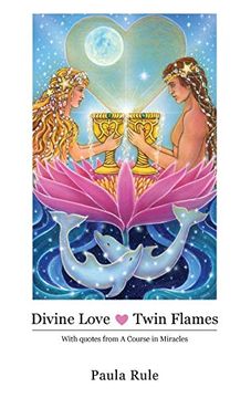 portada Divine Love Twin Flames (en Inglés)