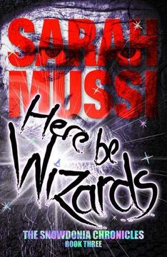 portada Here be Wizards: The Snowdonia Chronicles: Book Three 