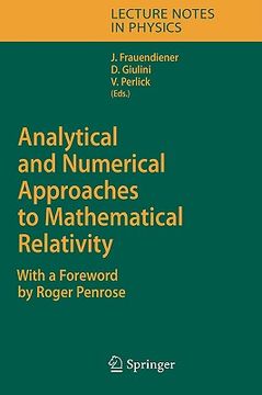 portada analytical and numerical approaches to mathematical relativity (in English)