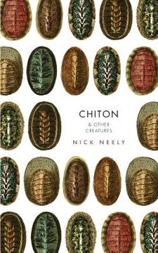 portada Chiton & Other Creatures 