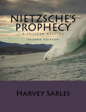 portada Nietzsche's Prophecy: A Crisis in Meaning (in English)