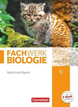 portada Fachwerk Biologie 6. Jahrgangsstufe - Realschule Bayern - Schülerbuch (en Alemán)