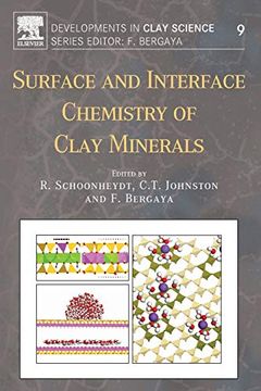 portada Surface and Interface Chemistry of Clay Minerals, Volume 9 (Developments in Clay Science) (in English)