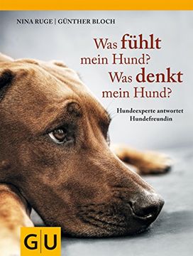 portada Was Fühlt Mein Hund? Was Denkt Mein Hund? Hundeexperte Antwortet Hundefreundin (Tier - Spezial) (in German)